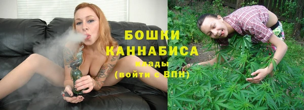 прущие крисы Новозыбков